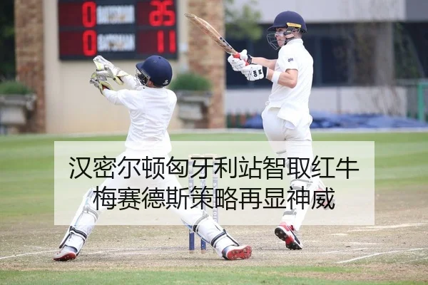 汉密尔顿匈牙利站智取红牛 梅赛德斯策略再显神威
